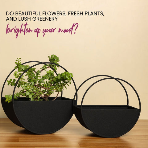 Dudki Metal Wall Hanging Planter Set of 2