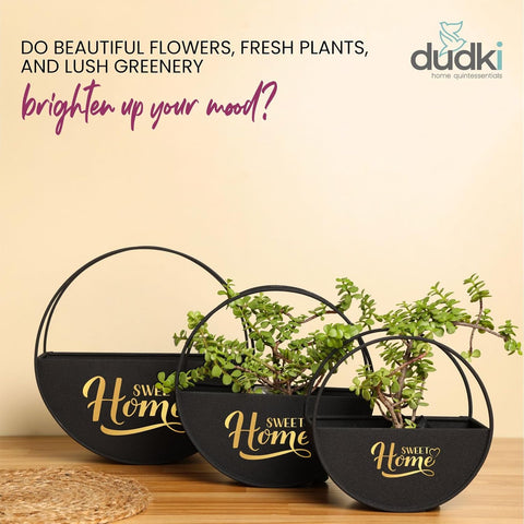 Dudki Sweet Homes Wall Planter Set of 3